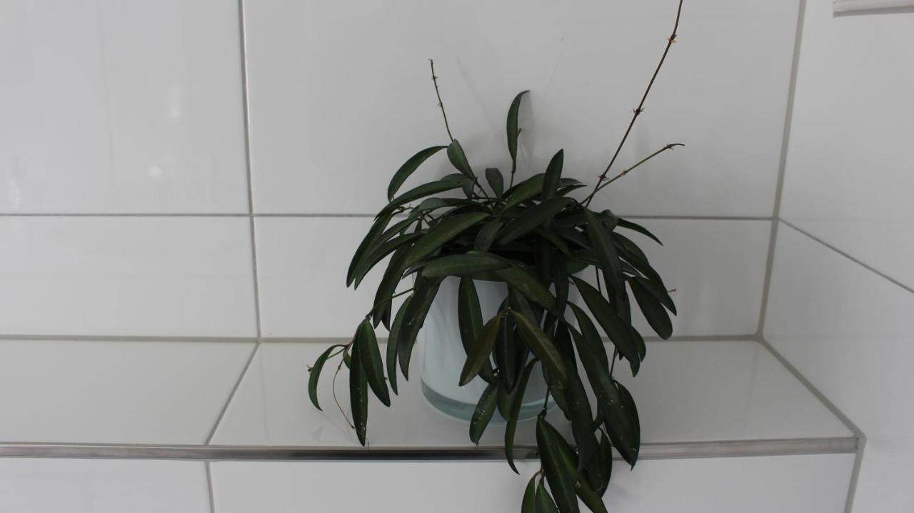 Appartement Maria Ег Екстериор снимка